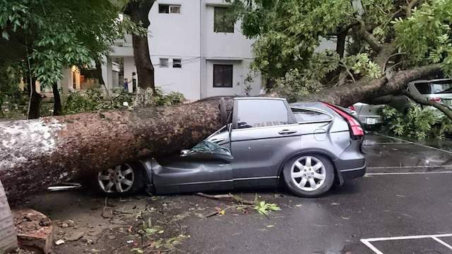Bản án số: 26/2021/DS-PT Toà án nhân dân Tỉnh Tây Ninh về Tranh chấp hợp đồng bảo hiểm.