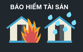 Quyết định giám đốc thẩm số: 09/2008/KDTM-GĐT Toà án nhân dân Tối cao về Tranh chấp hợp đồng bảo hiểm tài sản.